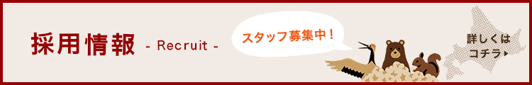 採用情報
