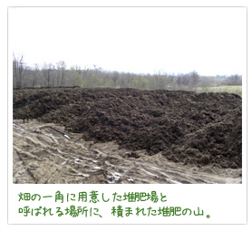 畑の一角に用意した堆肥場と呼ばれる場所に、積まれた堆肥の山。