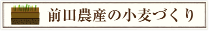 前田農産の小麦づくり