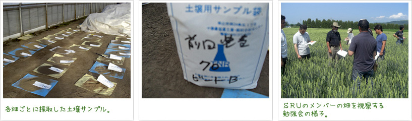 各畑ごとに採取した土壌サンプル。