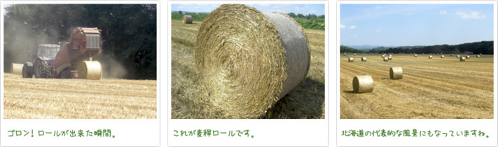 ゴロン!ロールが出来た瞬間。 これが麦稈ロールです。 北海道の代表的な風景にもなっていますね。