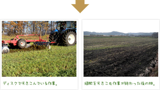 ディスクですきこんでいる作業。