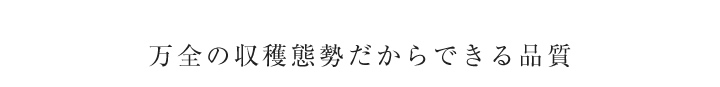 万全の収穫態勢だからできる品質