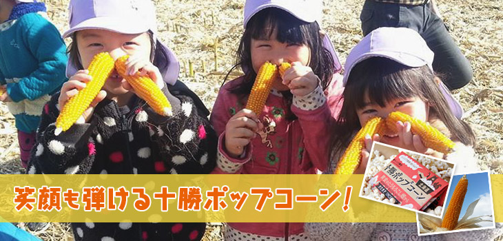 生産者の顔の見える小麦粉・ポップコーン直売 北海道・十勝ほん 生産者の顔の見える小麦粉・ポップコーン直売 北海道・十勝ほん