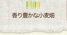 香り豊かな小麦
